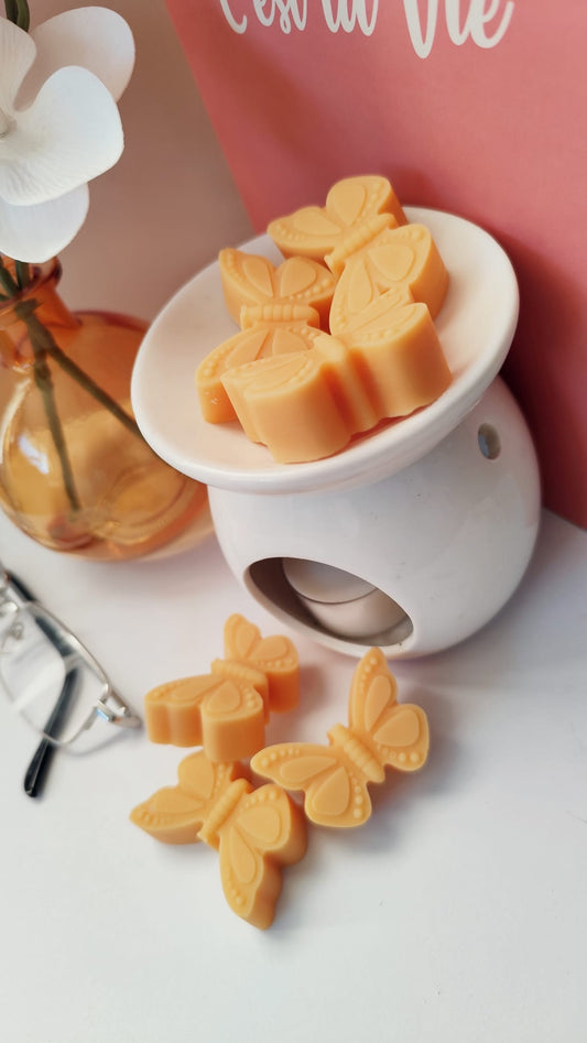 Aqua Blossom & Coral Soy Wax Melts - Highly Scented, Pack of 6